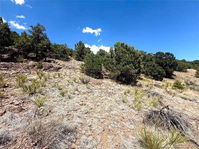 7 Elk Mountain