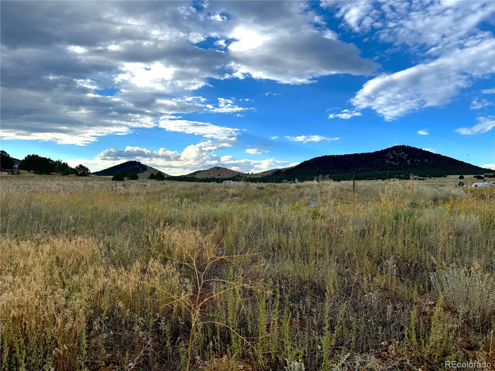TBD #2, 23rd Trail