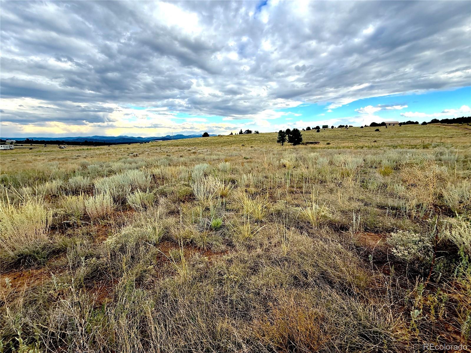TBD #2, 23rd Trail