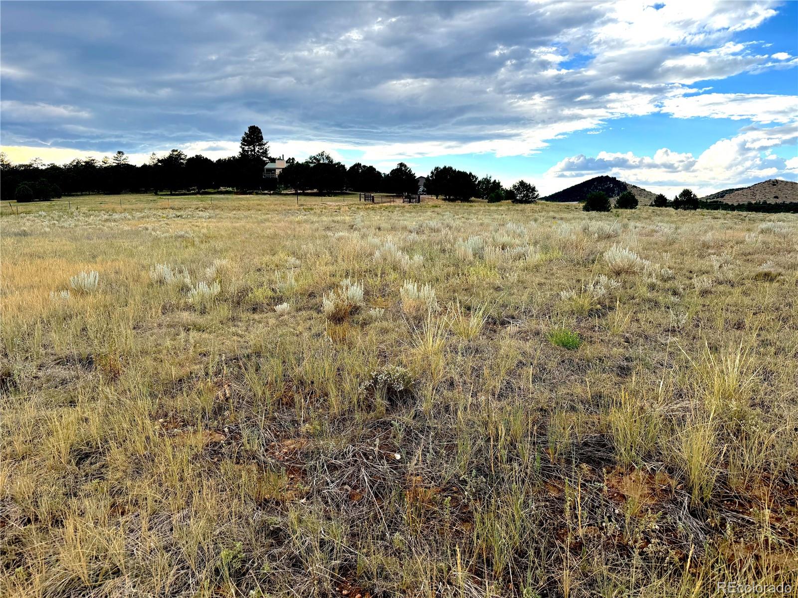 TBD #2, 23rd Trail