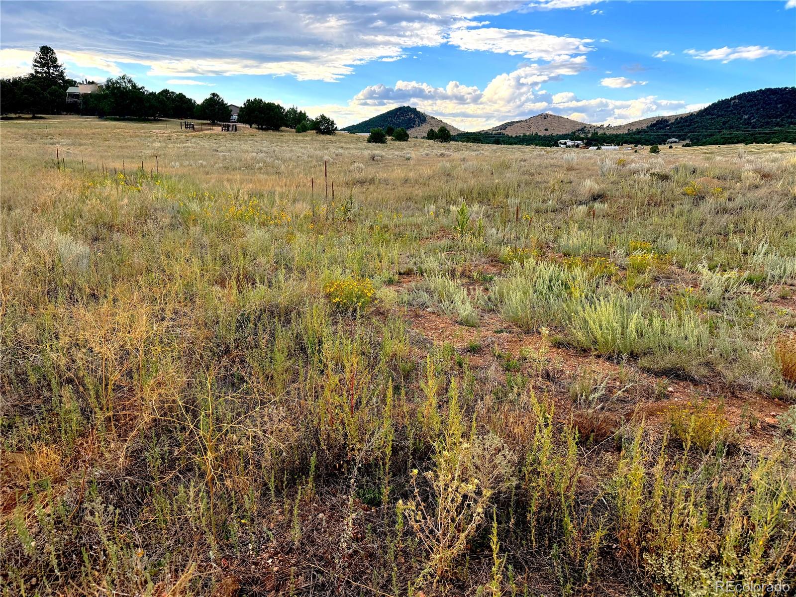 TBD #2, 23rd Trail