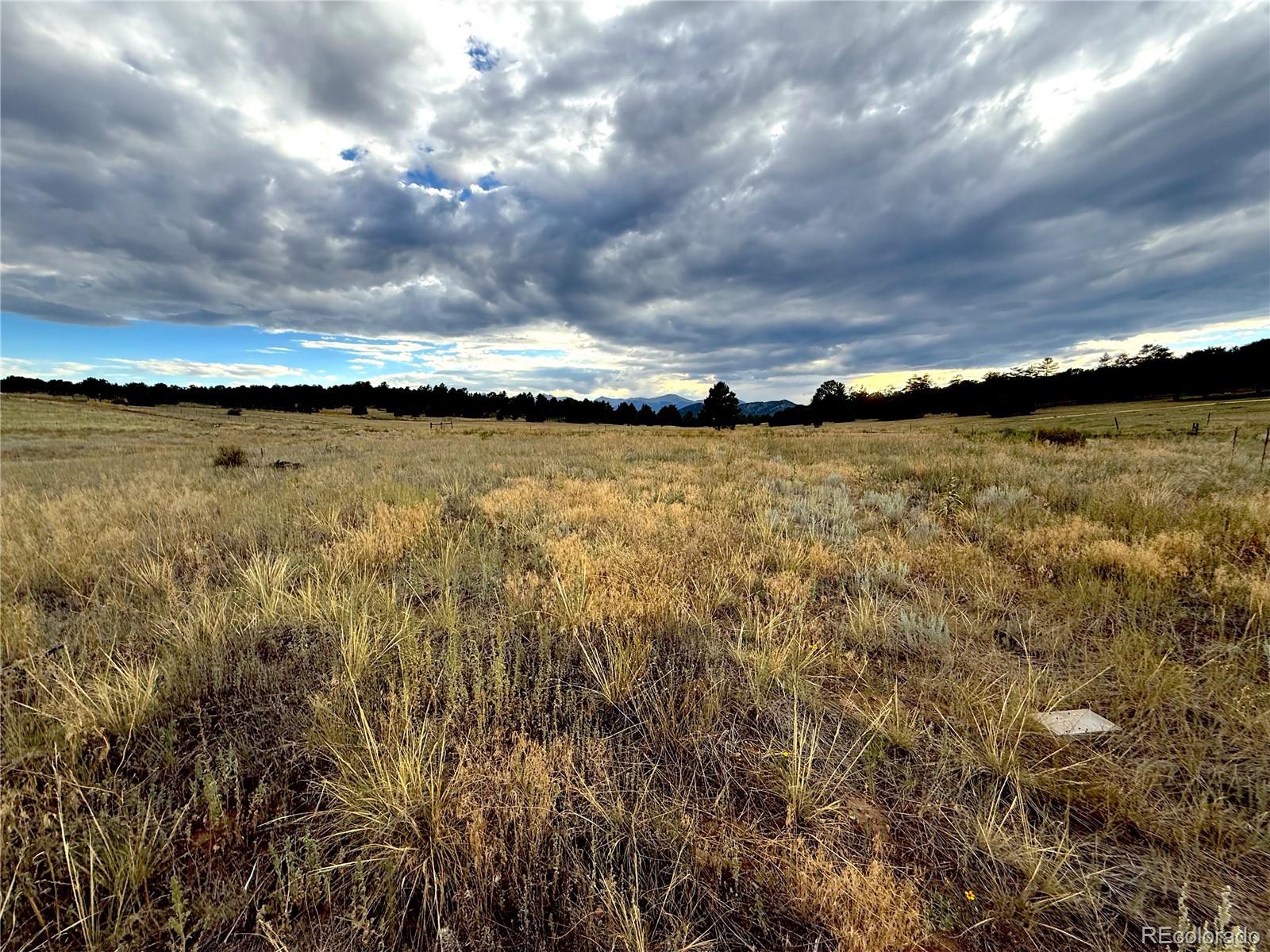 TBD #2, 23rd Trail