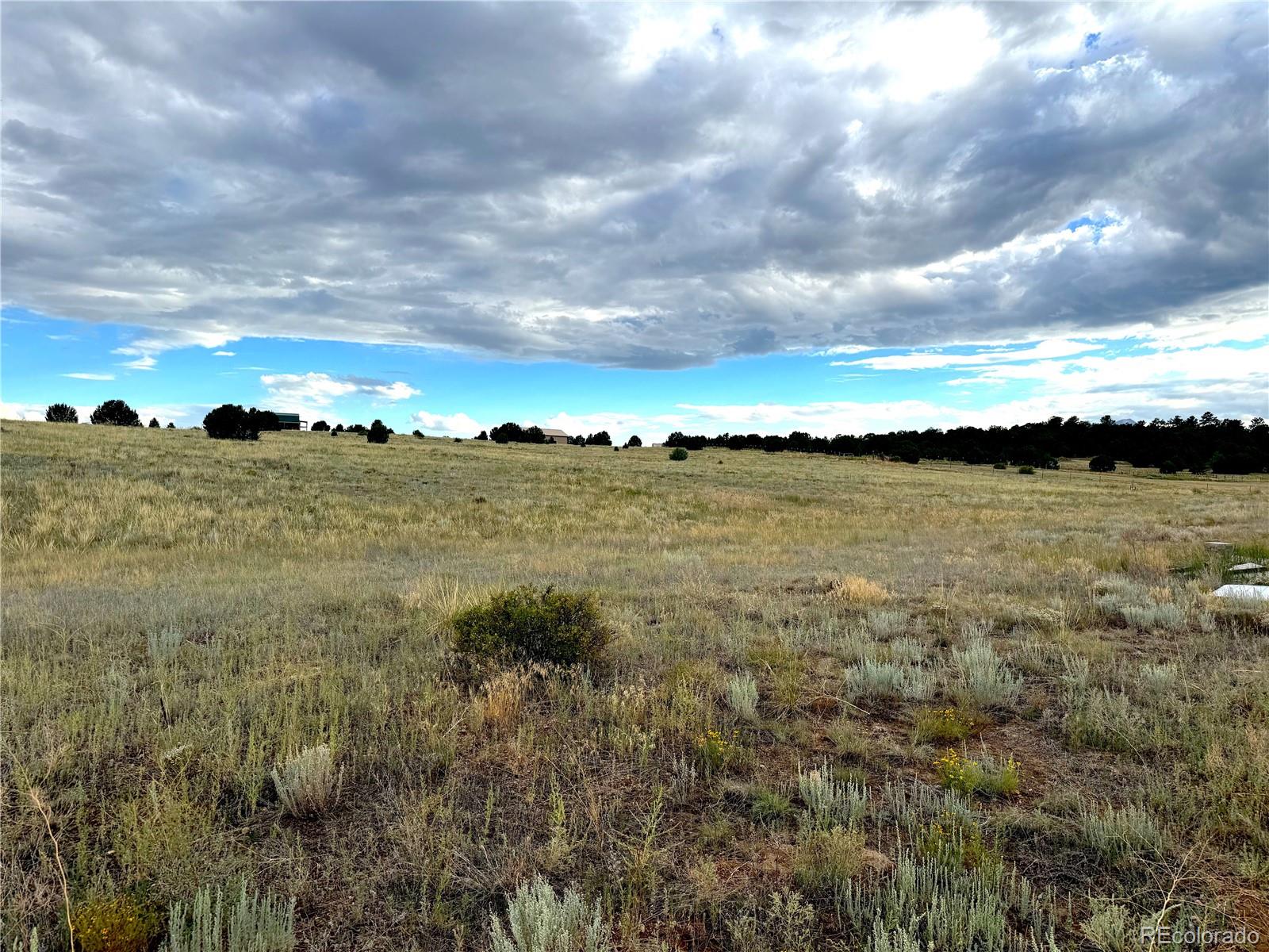 TBD #2, 23rd Trail