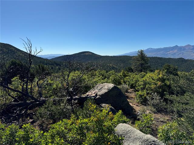 356 Overlook Road