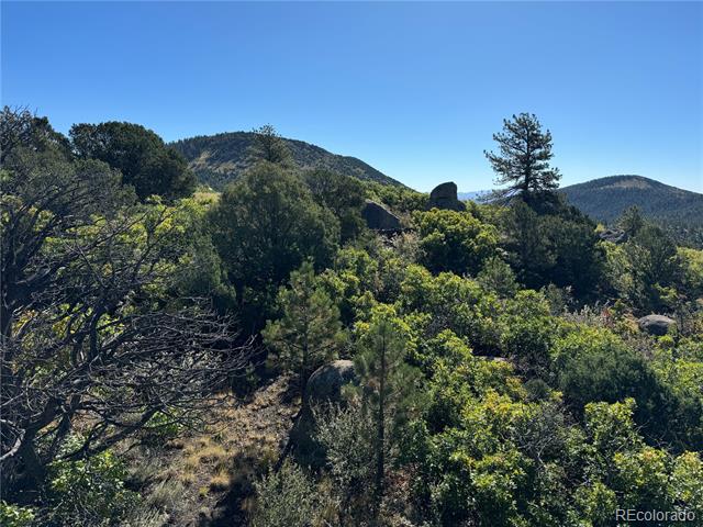 356 Overlook Road