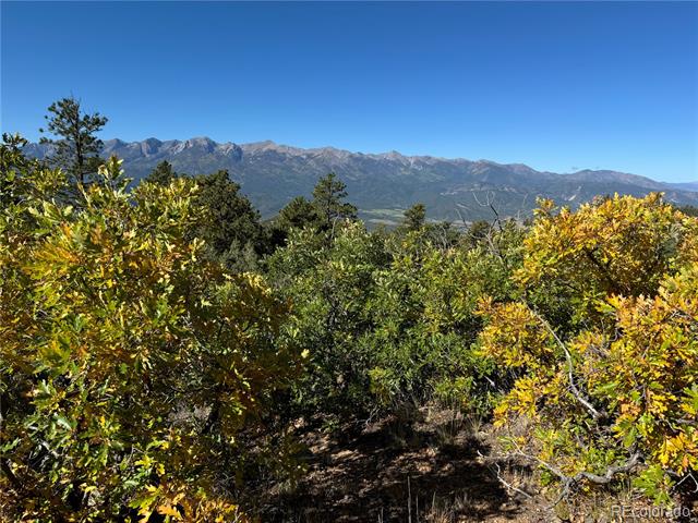 356 Overlook Road