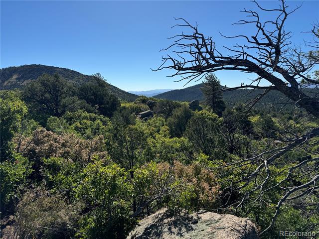 356 Overlook Road