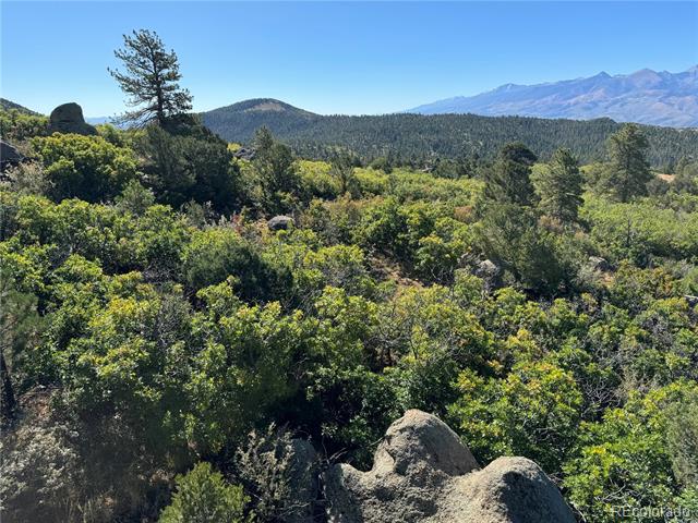 356 Overlook Road
