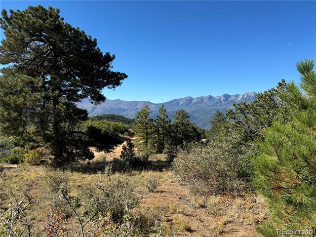 356 Overlook Road