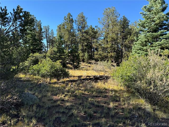 356 Overlook Road