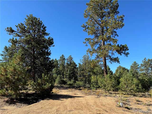 356 Overlook Road