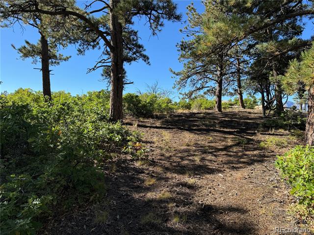 356 Overlook Road