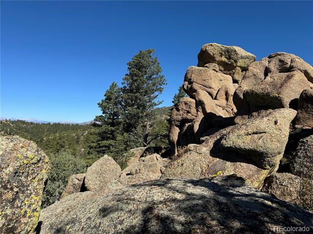 356 Overlook Road