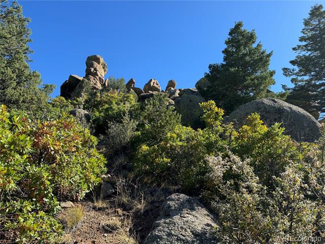 356 Overlook Road