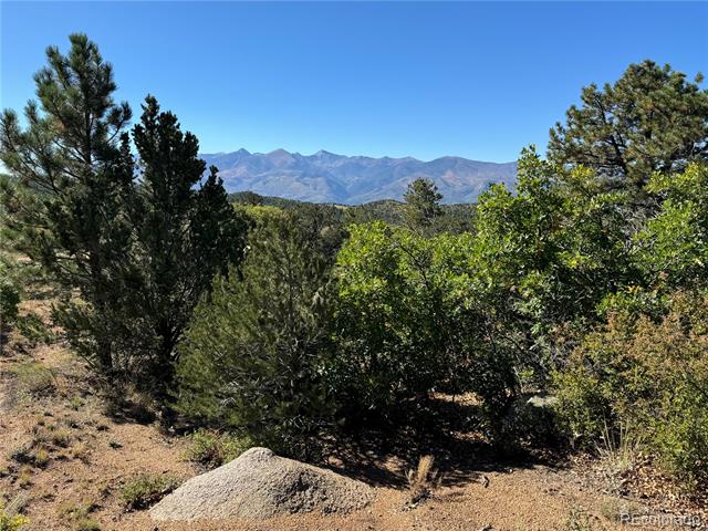 356 Overlook Road