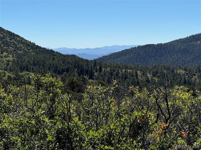 356 Overlook Road