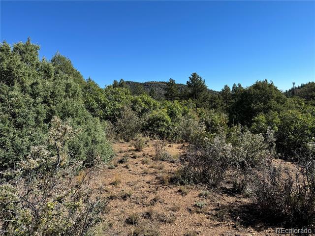 356 Overlook Road