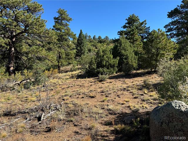 356 Overlook Road