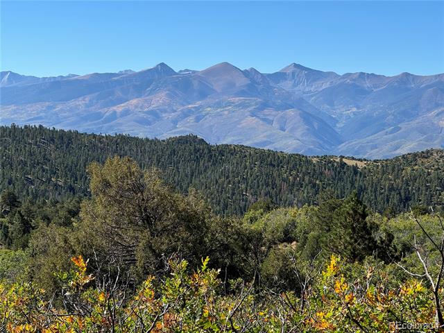 356 Overlook Road