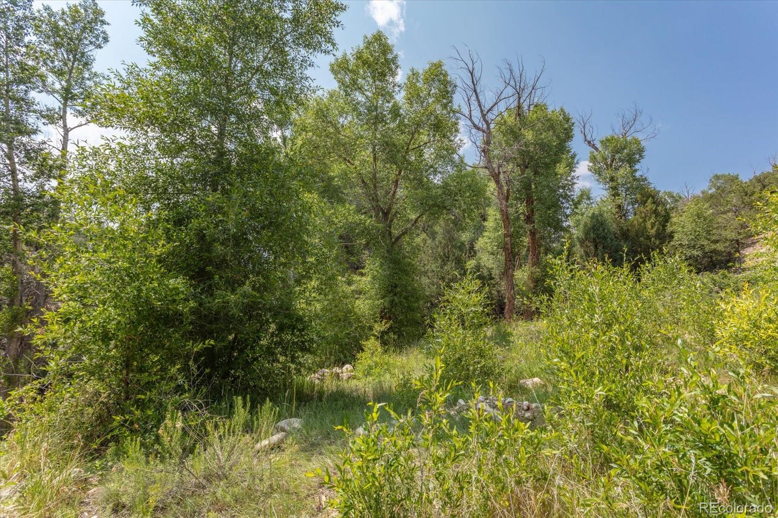 7920 Cozart Lane