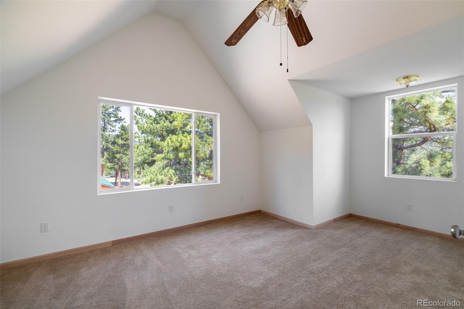 1136 Bird Point Drive