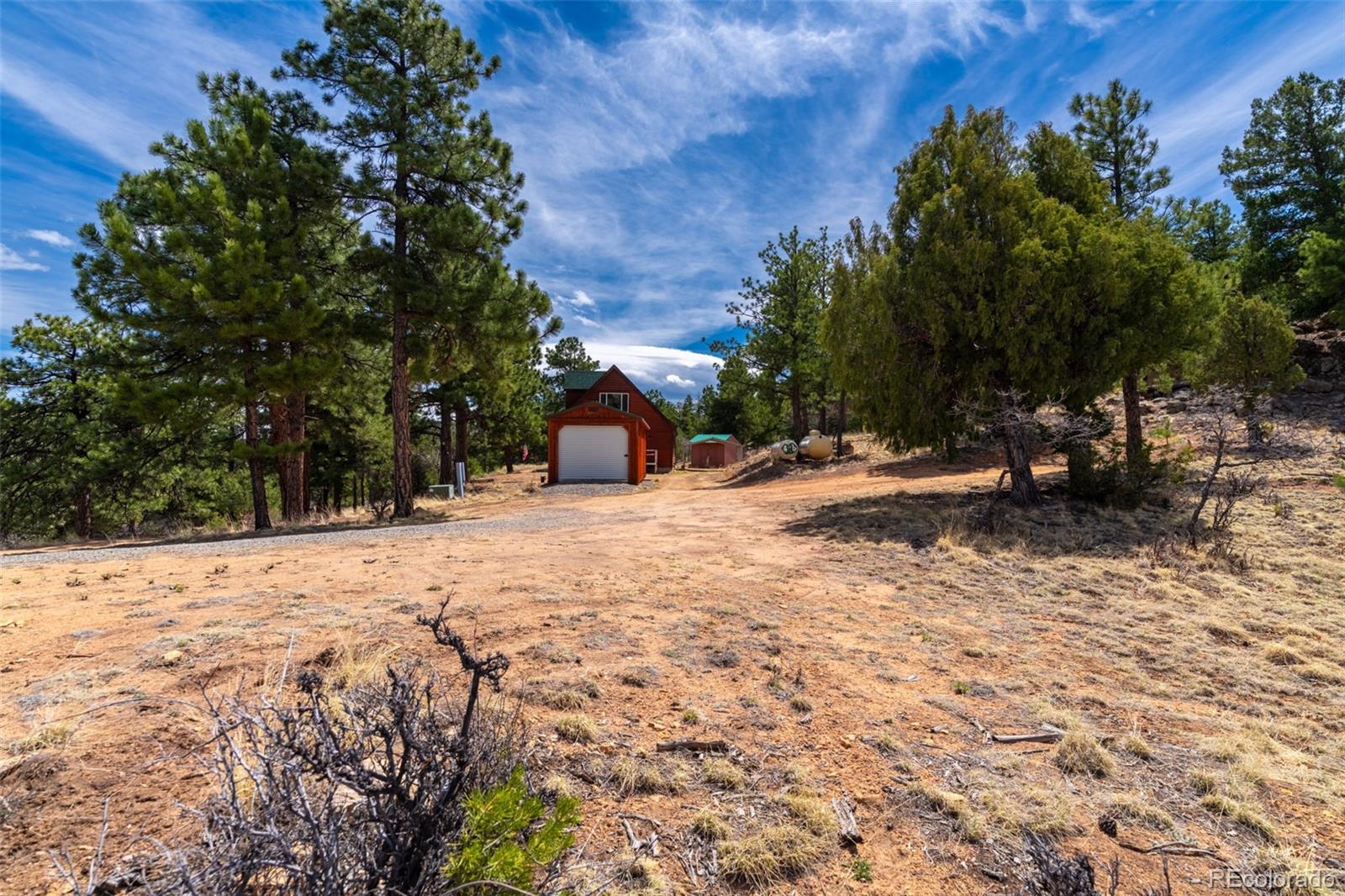 1136 Bird Point Drive