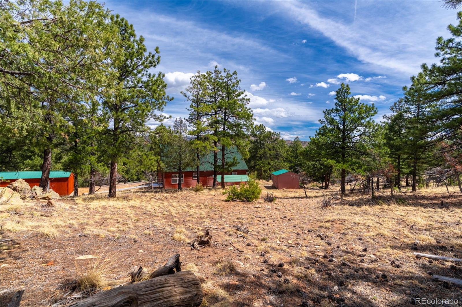 1136 Bird Point Drive