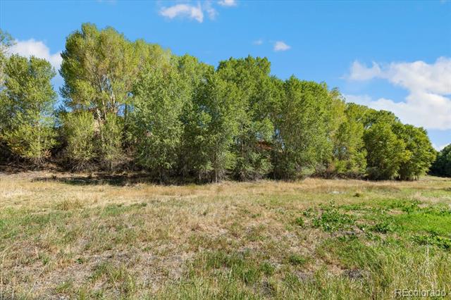 9901 County Road 120
