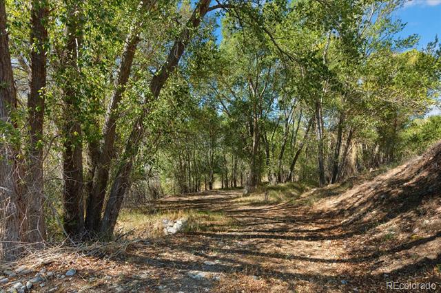 9901 County Road 120
