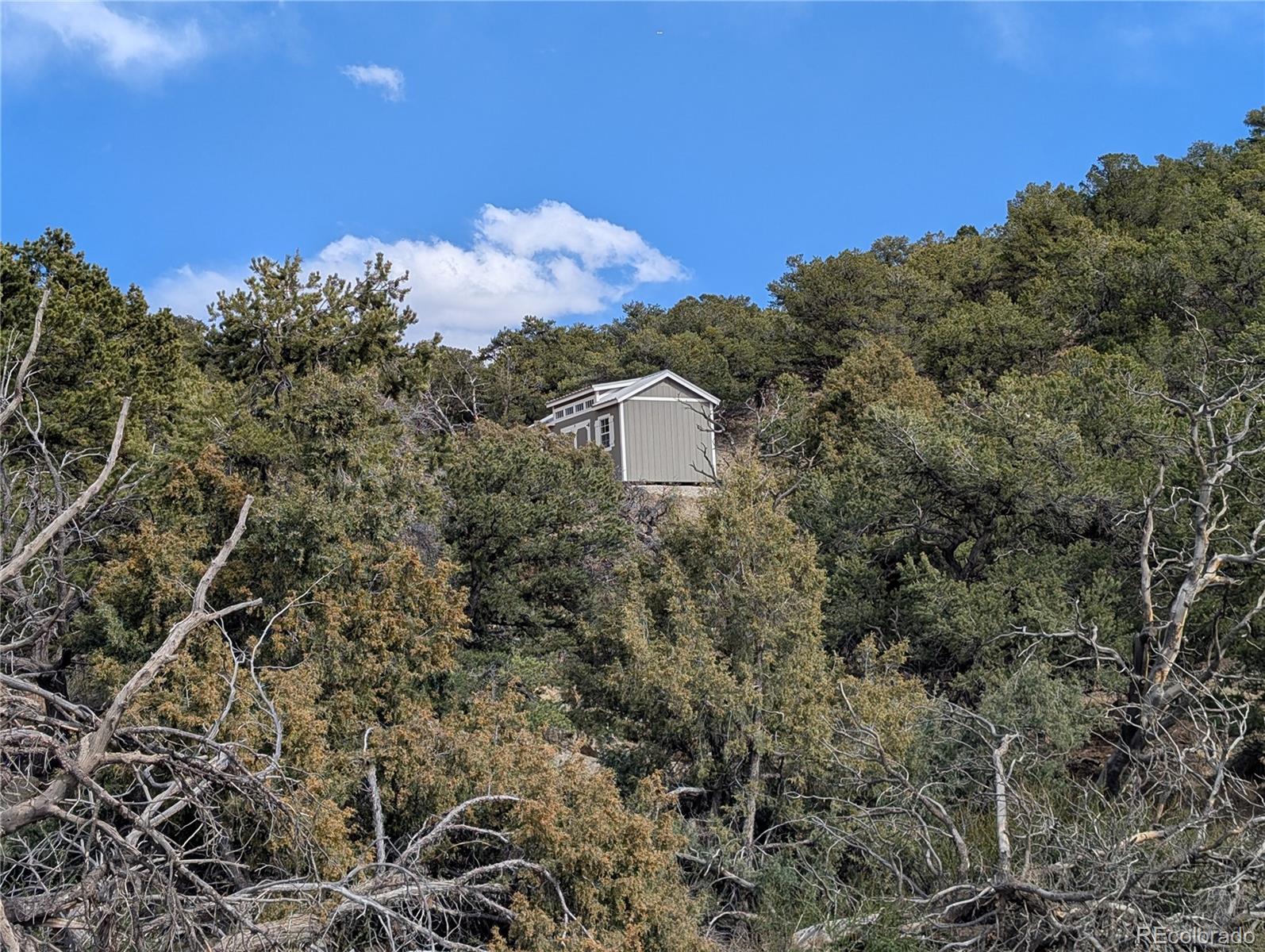 28750 County Road 304