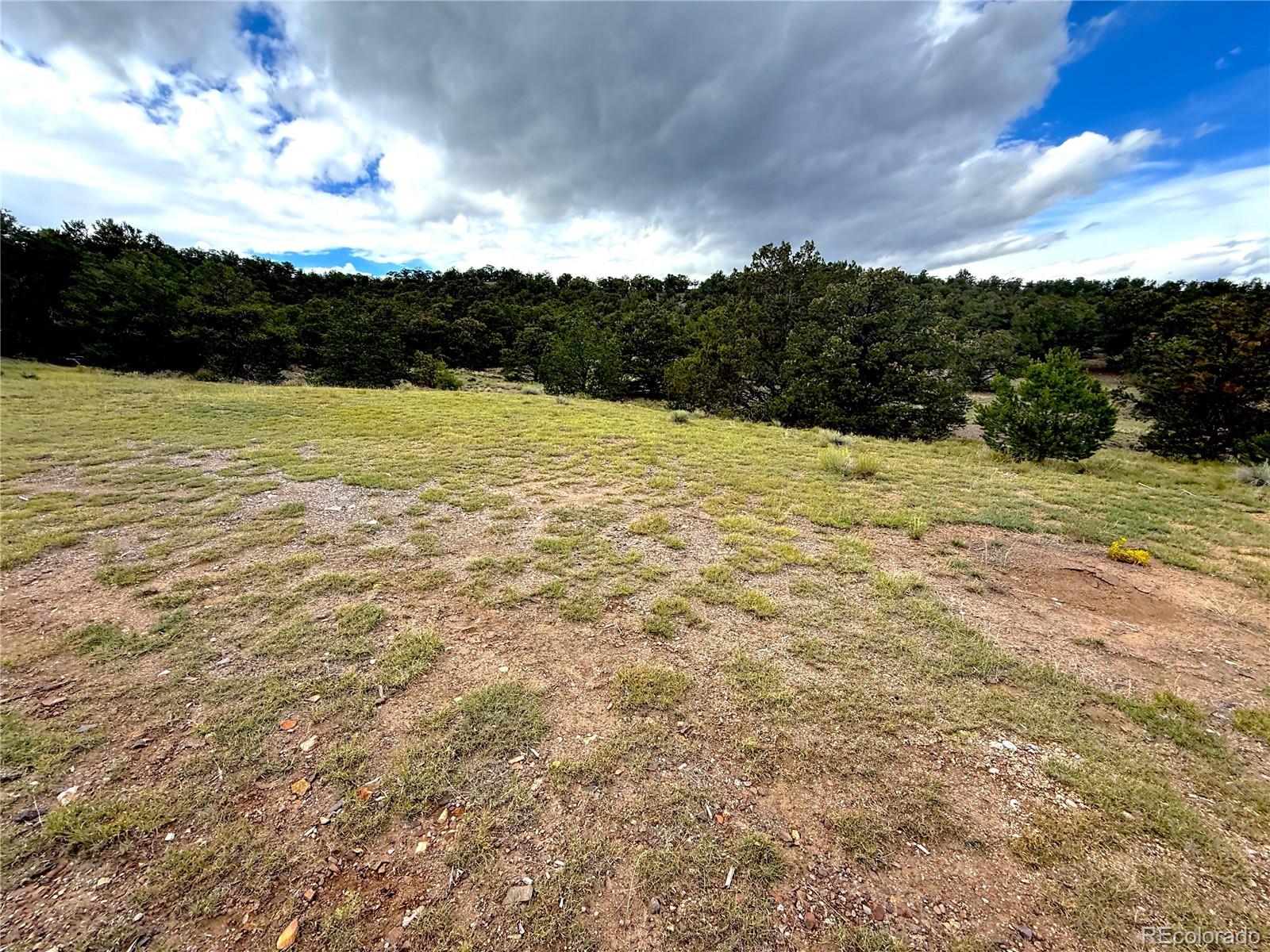 12426 US Highway 50