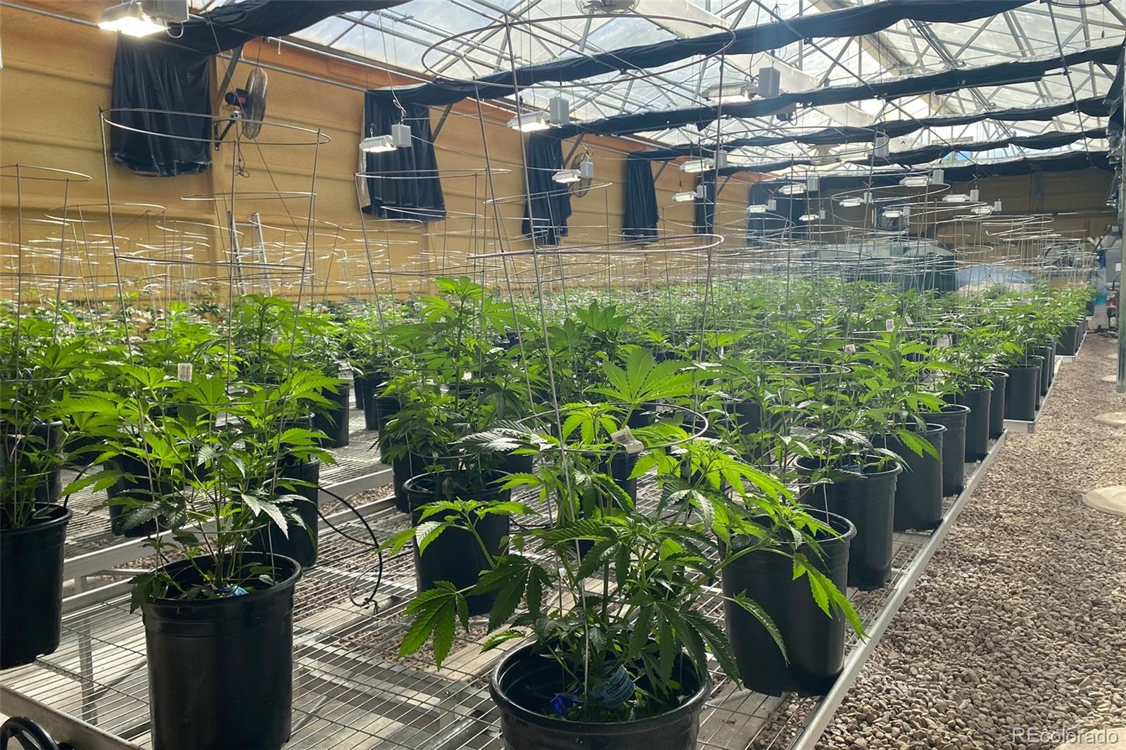 20520 County Road 59