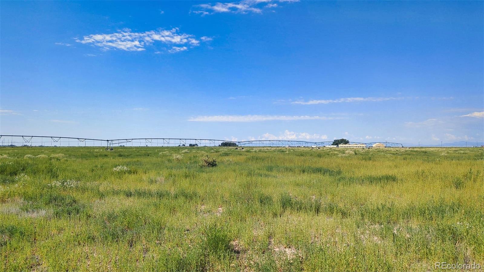 20520 County Road 59