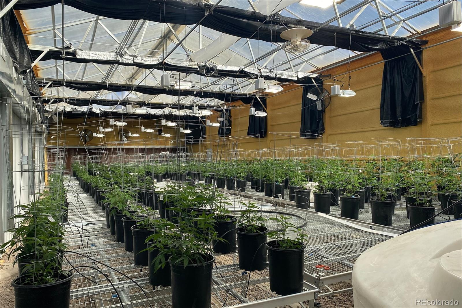 20520 County Road 59