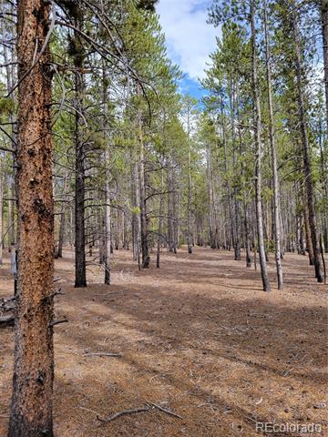 1099 County Road 4