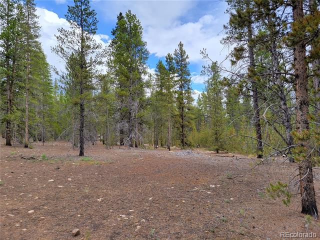 1099 County Road 4
