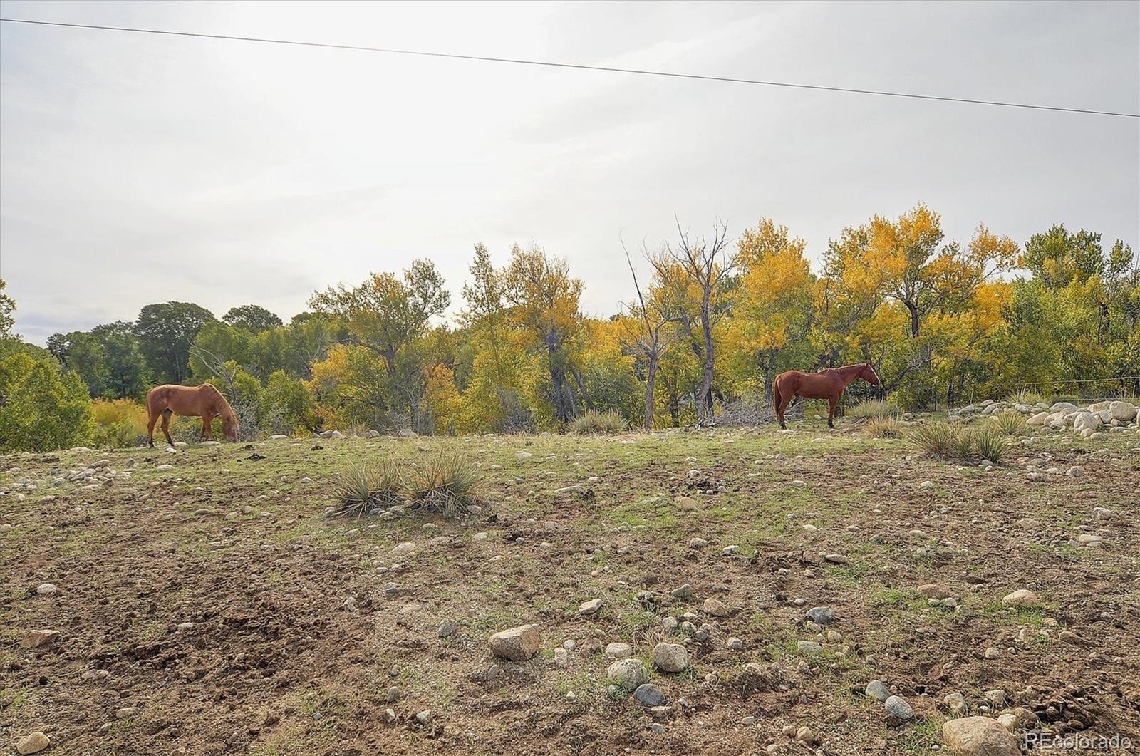 17007 County Road 338