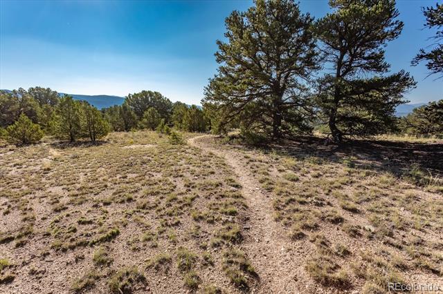 14065 US Highway 285