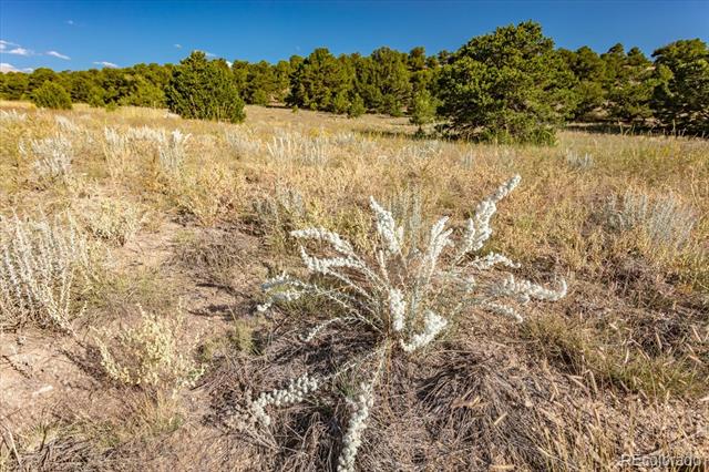 14065 US Highway 285