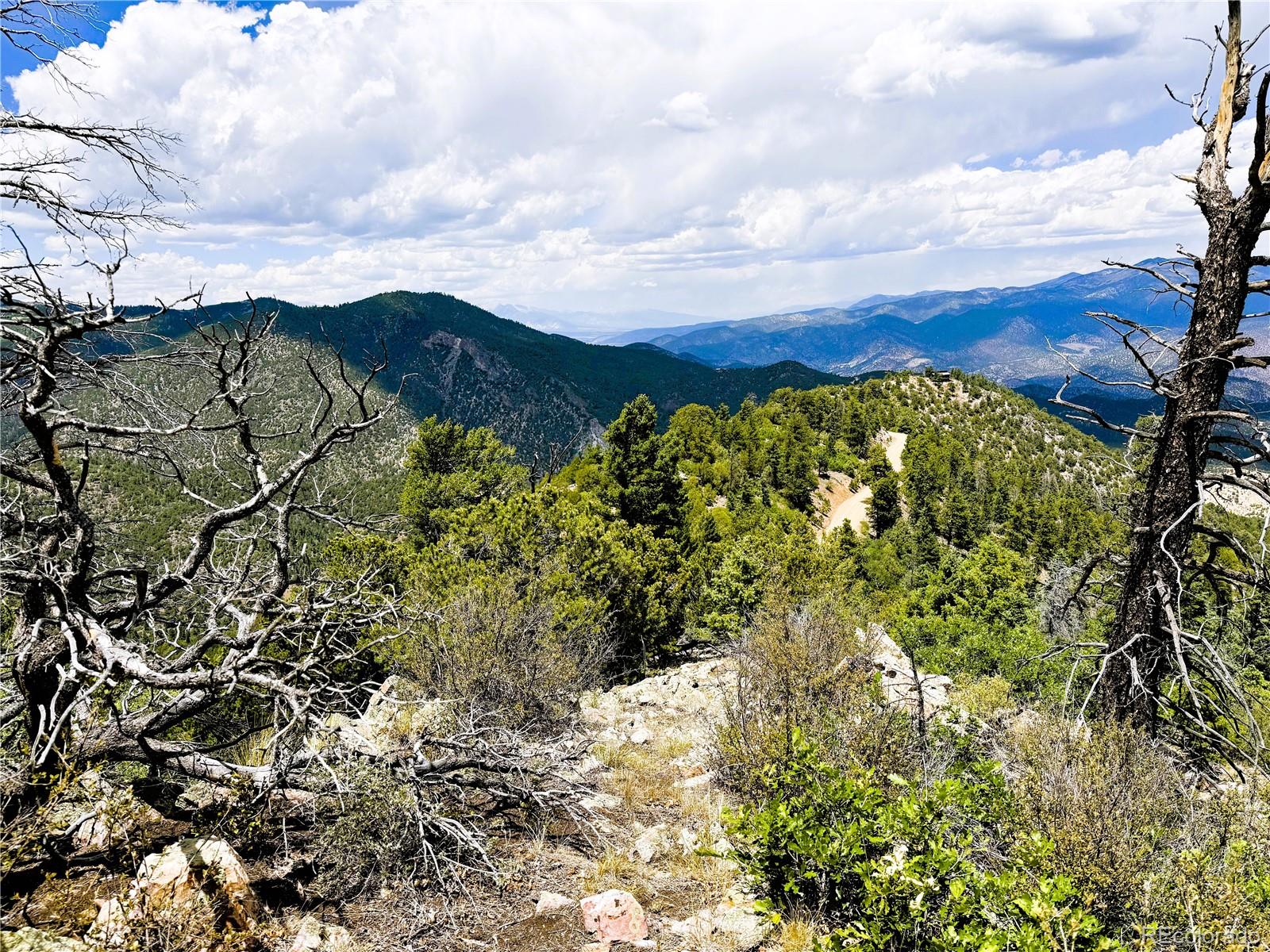 Lot 54 Knotty Pine Road