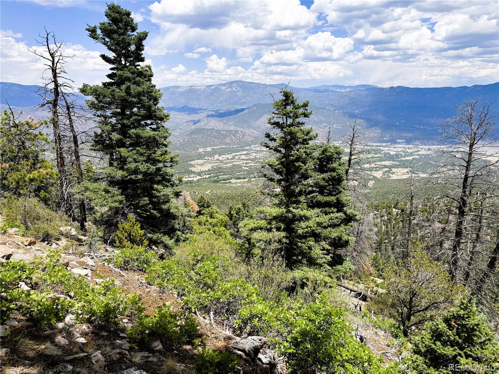 Lot 54 Knotty Pine Road