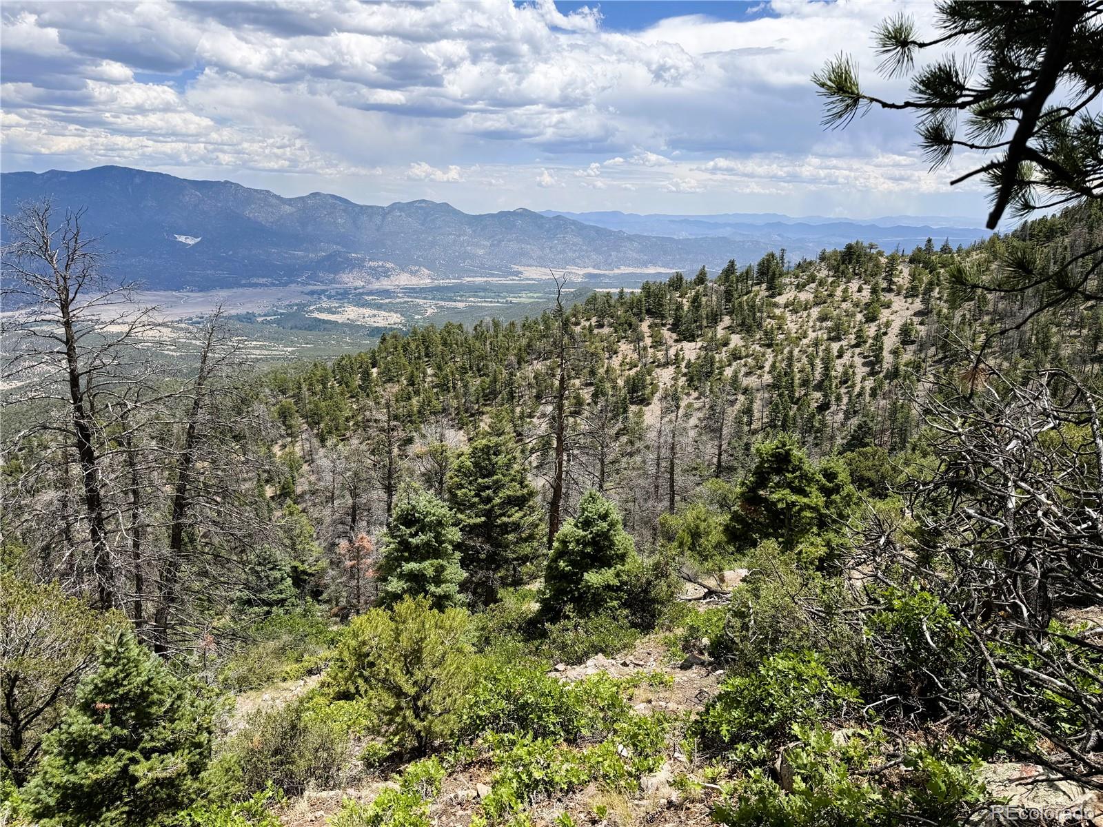Lot 54 Knotty Pine Road