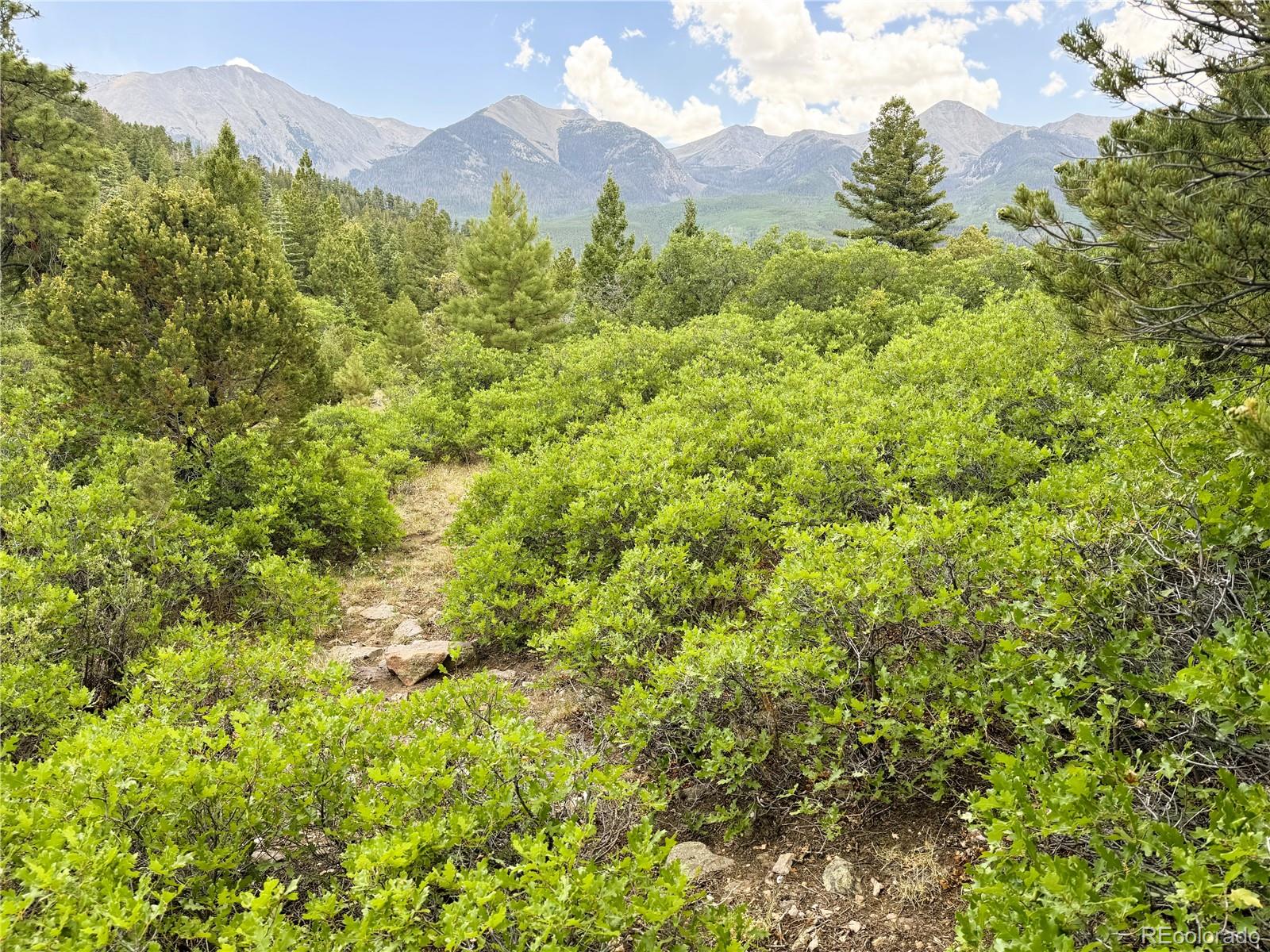 Lot 54 Knotty Pine Road