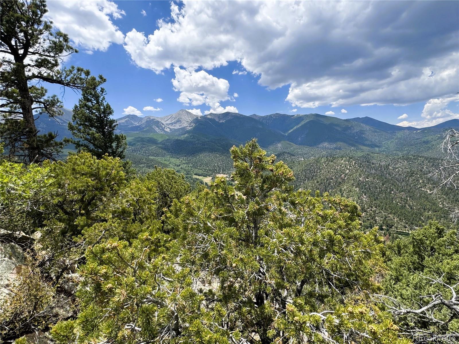 Lot 54 Knotty Pine Road