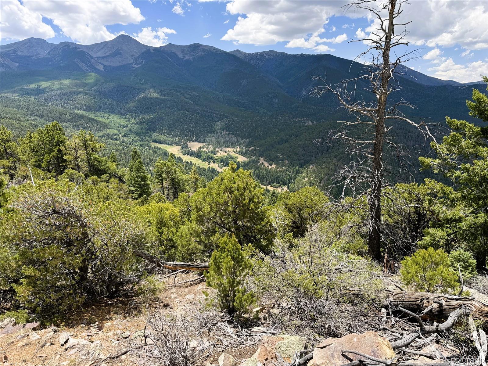 Lot 54 Knotty Pine Road