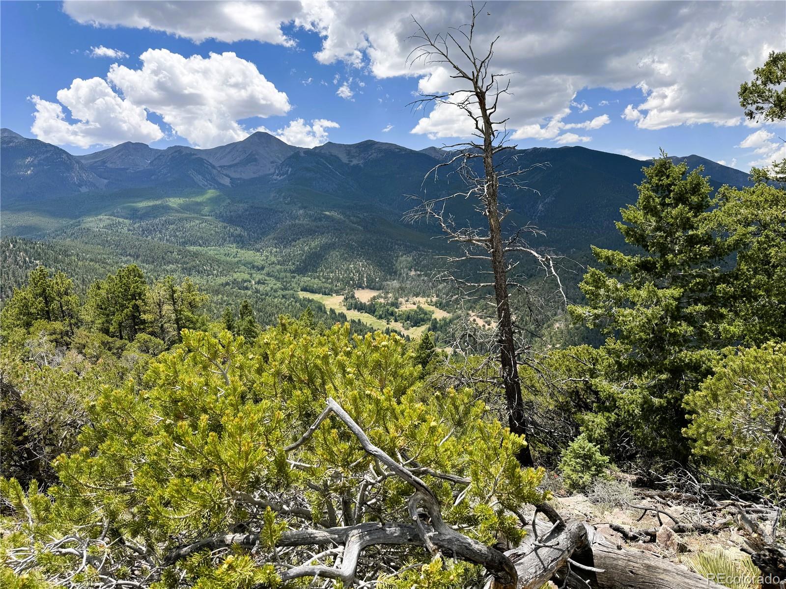 Lot 54 Knotty Pine Road
