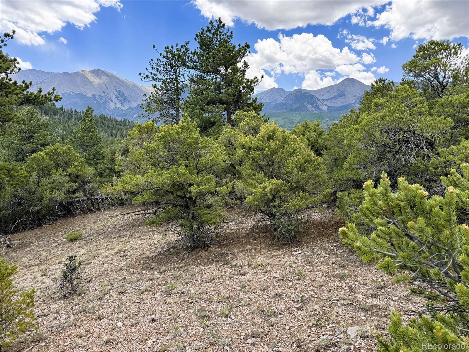 Lot 54 Knotty Pine Road