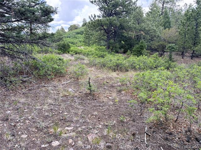 Lot 54 Knotty Pine Road