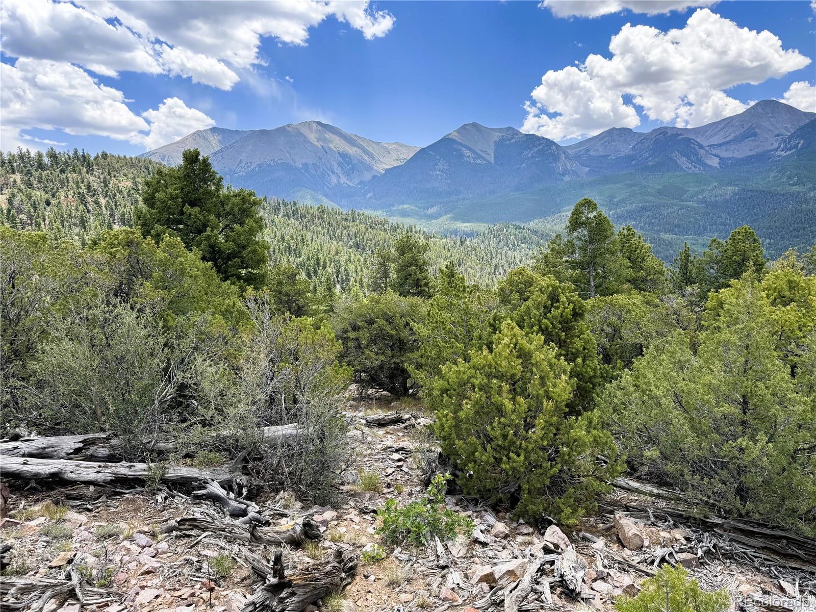 Lot 54 Knotty Pine Road