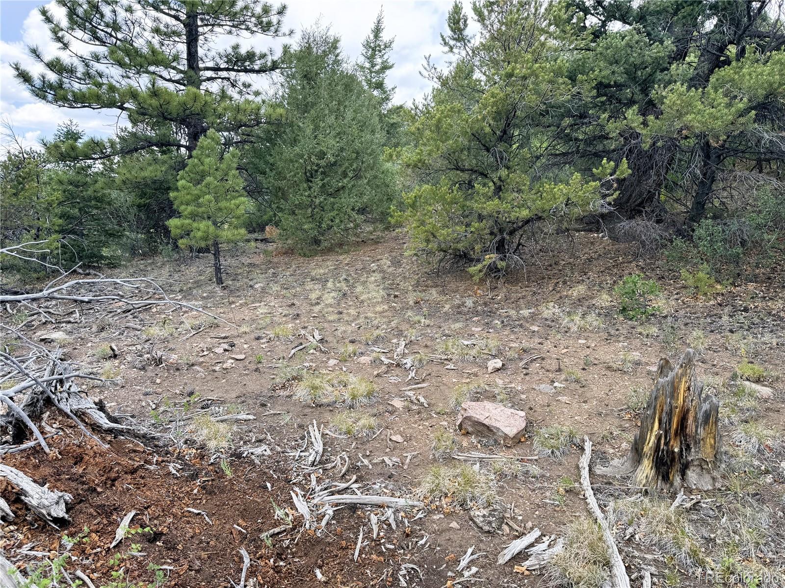 Lot 54 Knotty Pine Road